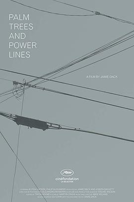 棕榈树和输电线封面图