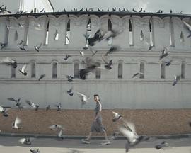 不能拍的城市之景封面图