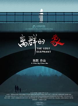 离群的象封面图