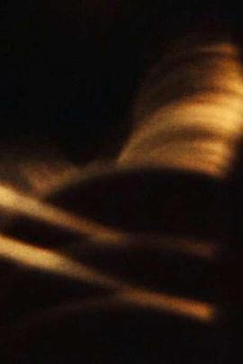 阿利亚德封面图