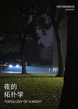 夜的拓扑学封面图
