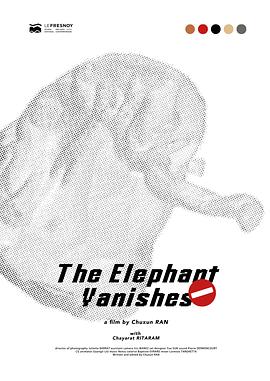 象的失踪封面图