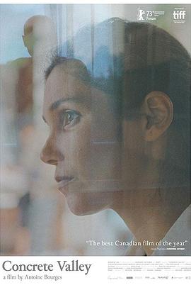 有形的山谷封面图