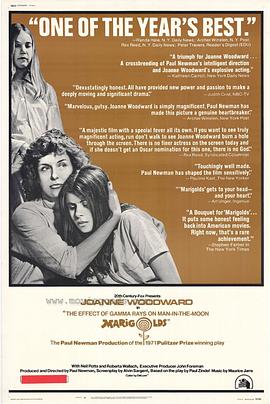 伽马射线效应封面图