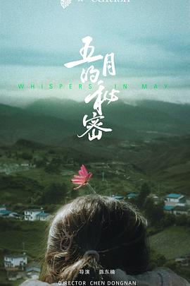 五月的秘密封面图