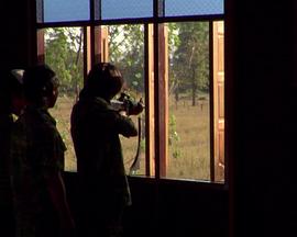 An Evening Shoot封面图