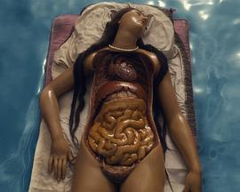 四个未被爱过的女人，漂浮在漫无目的的海上，体验解剖的喜悦封面图