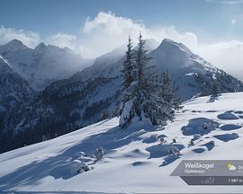 气象摄影机的记录封面图