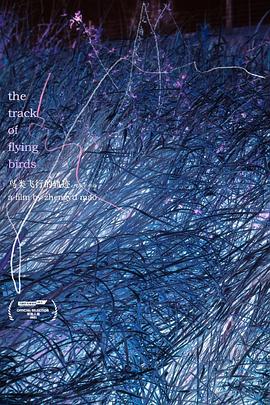 鸟类飞行的轨迹封面图