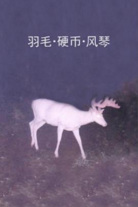 羽毛·硬币·风琴封面图