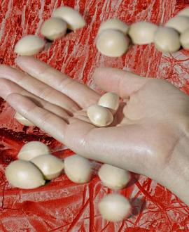 银杏和其它时间封面图