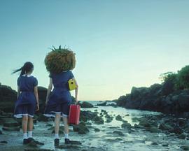 海都是海封面图