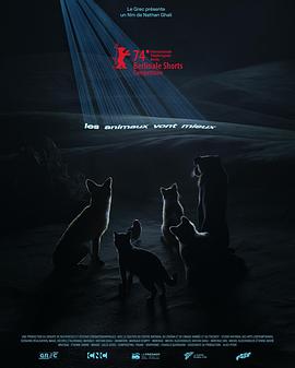 舔舐伤口封面图