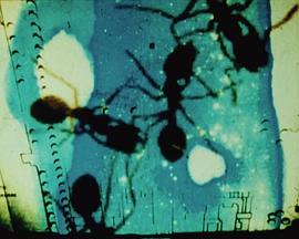 日光印画1,2,3封面图