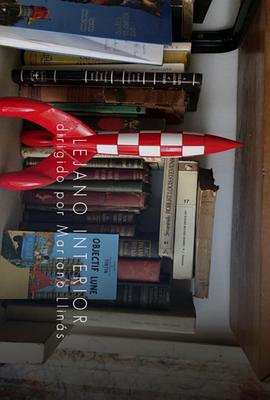 遥远的内部封面图