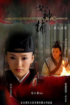 女神捕之铁证封面图