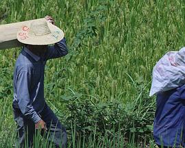 大数据中心封面图