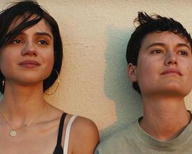 年年夏日封面图