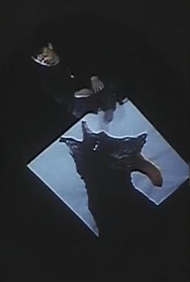 对一寸法师进行记录的尝试封面图