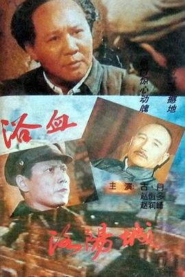 浴血洛阳城封面图