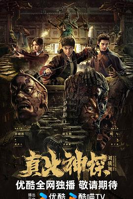 真火神探刘横顺封面图