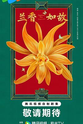 兰香如故封面图