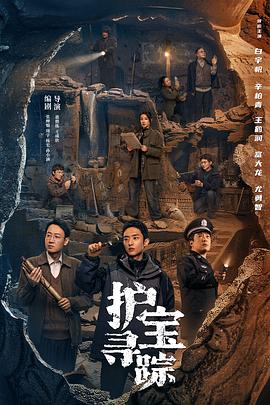 护宝寻踪封面图