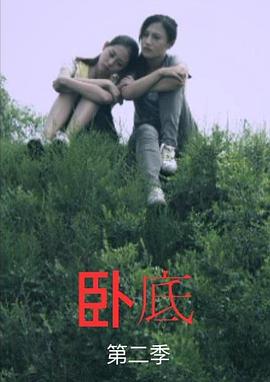 卧底前传之姐妹篇封面图