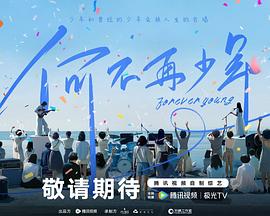 何不再少年封面图