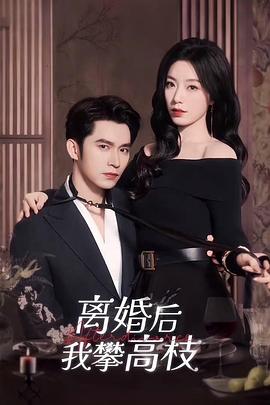 离婚后我攀高枝封面图