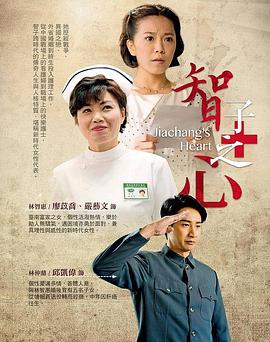 智子之心封面图