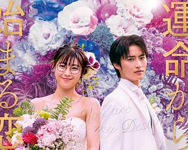 命中注定我爱你封面图