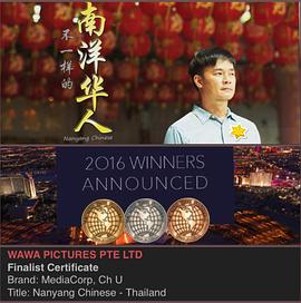 不一样的南洋华人封面图