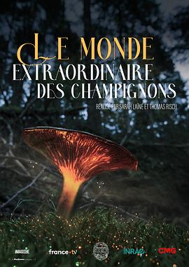 神奇的真菌世界封面图