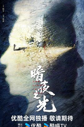 暗夜之光封面图