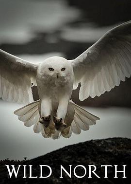 北欧荒野封面图