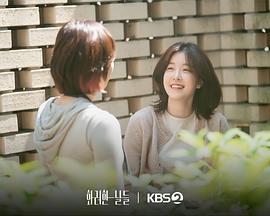 华丽的日子封面图