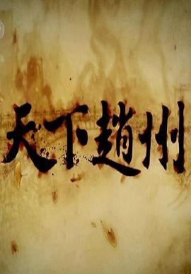 天下赵州封面图