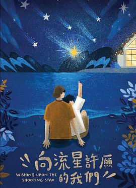 向流星许愿的我们封面图