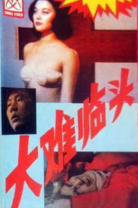 大难临头封面图