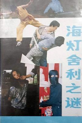 海灯舍利之谜封面图