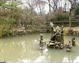 包先生的包封面图