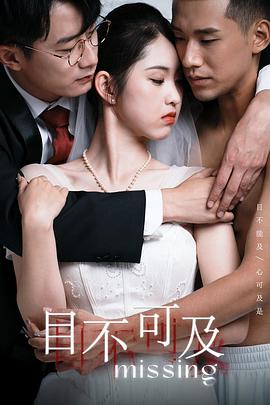 目不可及封面图