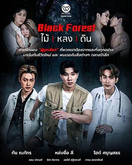 黑林山区封面图