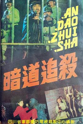 暗道追杀封面图