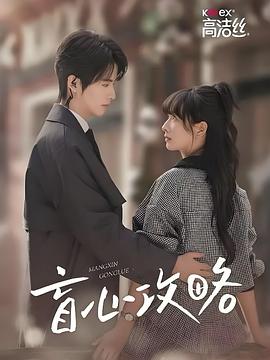 盲心攻略封面图