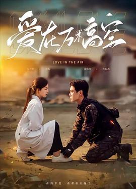 爱在万米高空封面图