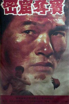 密窟夺宝封面图