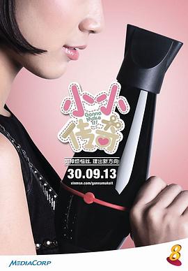 小小传奇封面图