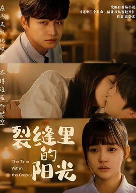 裂缝里的阳光封面图